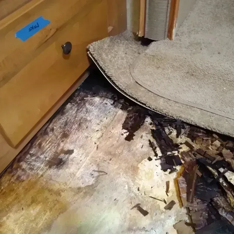 Wood Floor Water Damage in Frontier County, NE